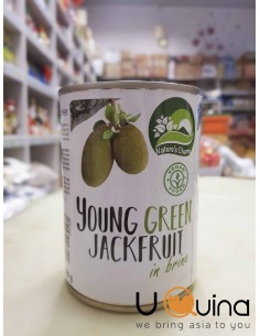 Owoce Jackfruit młody w kawałkach Natural's charm 565g