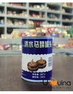 Củ năng (củ mã thầy) 567g