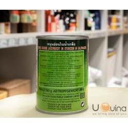 Owoce chlebowca Green Jackfruit w puszce puszce 565g 2